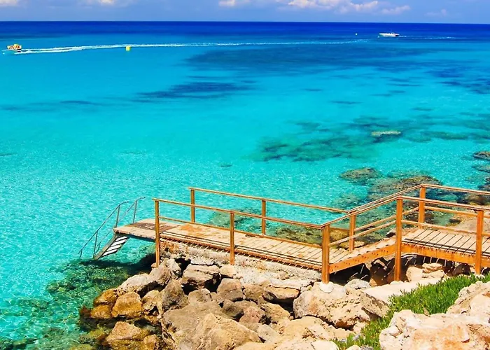 Fig Tree One * Protarász