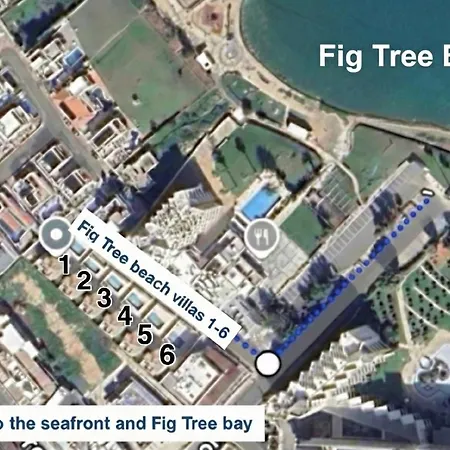 Fig Tree One *