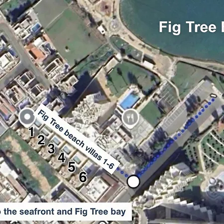 Fig Tree One * 프로타라스